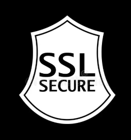 SSL Güvenli bağlantı logosu